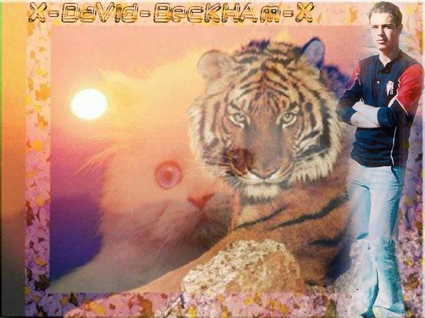 1(1).jpg - 61632 Bytes