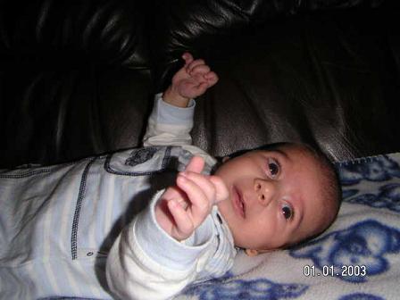 Bild035.jpg - 20353 Bytes