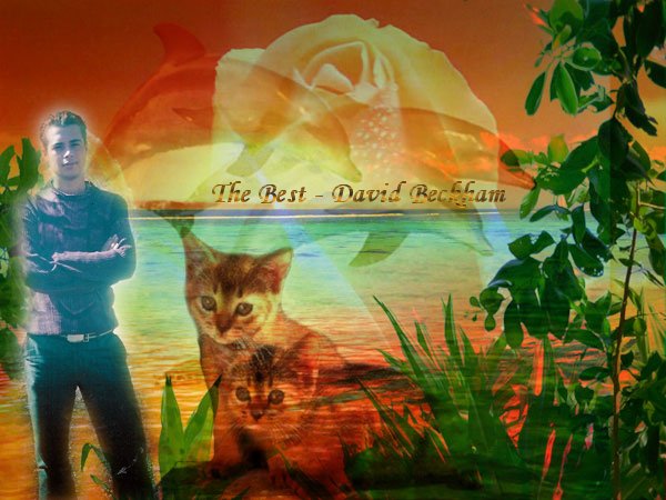 summer.jpg - 65725 Bytes