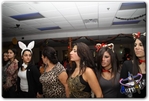 Filename=IMG_7643.jpg
Filesize=56KiB
Dimensions=499x338
Date added=Oct 29, 2011 IMG_7643.jpg