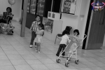 Filename=seta_284829.jpg
Filesize=212KiB
Dimensions=730x487
Date added=May 22, 2012 seta_284829.jpg