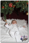 Filename=georgeyousif_289729.jpg
Filesize=38KiB
Dimensions=372x550
Date added=Dec 19, 2012 georgeyousif_289729.jpg