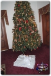 Filename=georgeyousif_289829.jpg
Filesize=42KiB
Dimensions=372x550
Date added=Dec 19, 2012 georgeyousif_289829.jpg