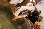 Filename=IMG_3608.jpg
Filesize=120KiB
Dimensions=1200x800
Date added=Jan 22, 2018 IMG_3608.jpg